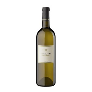 FERGHETTINA Curtefranca Bianco 2021 Cl.75